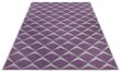 Northrugs vaip Jaffa Purple Violet Cream 160x230 cm hind ja info | Vaibad | hansapost.ee