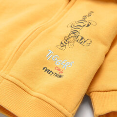Кофточка Cool Club для мальчика Winnie the Pooh, LNB2400472, желтая цена и информация | Кофточки, джемперы, пиджаки для младенцев | hansapost.ee
