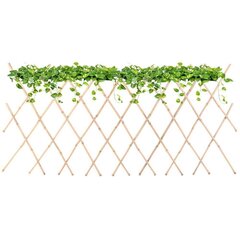 Забор для вьющихся растений ProGarden, 180x70 см цена и информация | Заборы и принадлежности к ним | hansapost.ee
