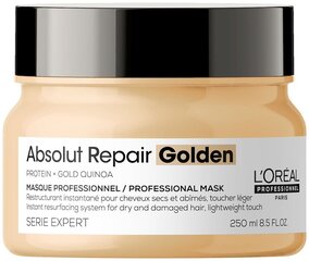 Маска для поврежденных волос L'Oreal Serie Expert Absolut Repair Golden Quinoa + Protein 250 мл цена и информация | Маски, масла, сыворотки | hansapost.ee