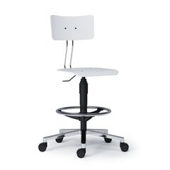 Офисный стул Wood Garden Sally Extend Laminate, белый цена и информация | Офисные кресла | hansapost.ee