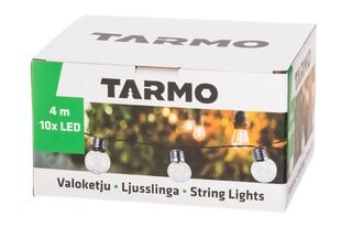 Уличная гирлянда Tarmo 10 LED, 2м цена и информация | Уличные светильники | hansapost.ee