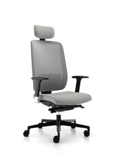 Офисное кресло Wood Garden Syn Eclipse Net с подголовником, серое цена и информация | Офисные кресла | hansapost.ee