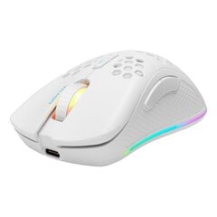 Беспроводная мышь Deltaco WM80, 6400 dpi, 6 кнопок, RGB, белая цена и информация | Компьютерные мыши | hansapost.ee