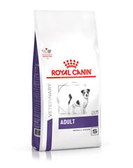 Royal Canin suuhügieeniprobleemidega ja tundliku seedesüsteemiga koertel Adult Small Dog, 8 kg цена и информация | Сухой корм для собак | hansapost.ee