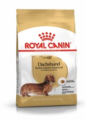 Royal Canin täiskasvanud taksikoertele Dachshund adult, 7.5 kg hind ja info | Koerte kuivtoit ja krõbinad | hansapost.ee