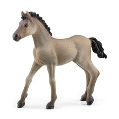 Креольский жеребенок Schleich Horse Club цена и информация | Игрушки для девочек | hansapost.ee