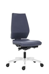 Офисное кресло Wood Garden Syn Antistatic, серое цена и информация | Офисные кресла | hansapost.ee