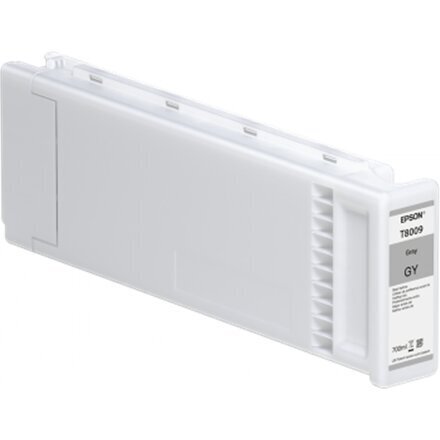 Epson T800900 UltraChrome PRO tindikasett hind ja info | Tindiprinteri kassetid | hansapost.ee