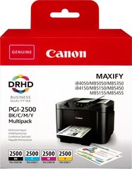 CANON INK PGI-2500 BK/C/M/Y MULTI цена и информация | Картриджи для струйных принтеров | hansapost.ee