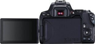 Canon EOS 250D (Black) + EF-S 18-55mm f/4-5.6 IS STM + EF 50mm f/1.8 STM цена и информация | Фотоаппараты | hansapost.ee