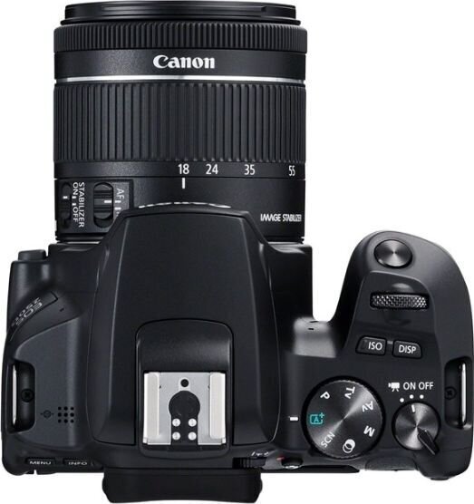 Canon EOS 250D (Black) + EF-S 18-55mm f/4-5.6 IS STM + EF 50mm f/1.8 STM цена и информация | Fotoaparaadid | hansapost.ee