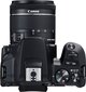 Canon EOS 250D (Black) + EF-S 18-55mm f/4-5.6 IS STM + EF 50mm f/1.8 STM hind ja info | Fotoaparaadid | hansapost.ee