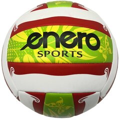 Мяч для пляжного волейбола Enero Sports, размер 5 цена и информация | Волейбольные мячи | hansapost.ee