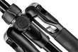 Manfrotto statiivikomplekt Befree Advanced QPL MKBFRLA4BK-BH цена и информация | Fotoaparaatide statiivid | hansapost.ee