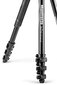 Manfrotto Befree Advanced QPL MKBFRLA4BK-BH hind ja info | Fotoaparaatide statiivid | hansapost.ee