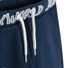 Спортивные штаны Cool Club для мальчиков, LCB2411017, синие цена и информация | Штаны для мальчиков | hansapost.ee