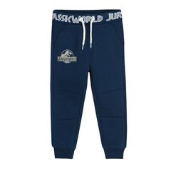 Спортивные штаны Cool Club для мальчиков, LCB2411017, синие цена и информация | Штаны для мальчиков | hansapost.ee