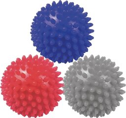 Набор массажных мячей Eb Fit, 3 шт., 7 см цена и информация | Аксессуары для массажа | hansapost.ee