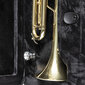 Ümbris trompetile Stagg SC-TP-GY hind ja info | Muusikainstrumentide tarvikud | hansapost.ee