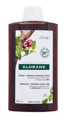 Šampoon hõrenevatele juustele Klorane 400 ml price and information | Shampoos | hansapost.ee