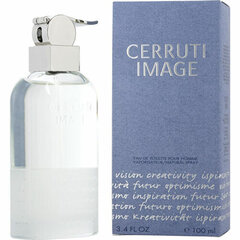 Nino Cerruti Image EDT meestele 100 ml price and information | Perfumes for men | hansapost.ee