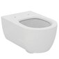 Seinale paigaldatav WC-poti komplekt Ideal Standard hind ja info | WС-potid | hansapost.ee