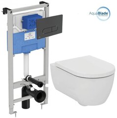Seinale paigaldatav WC-poti komplekt Ideal Standard hind ja info | WС-potid | hansapost.ee
