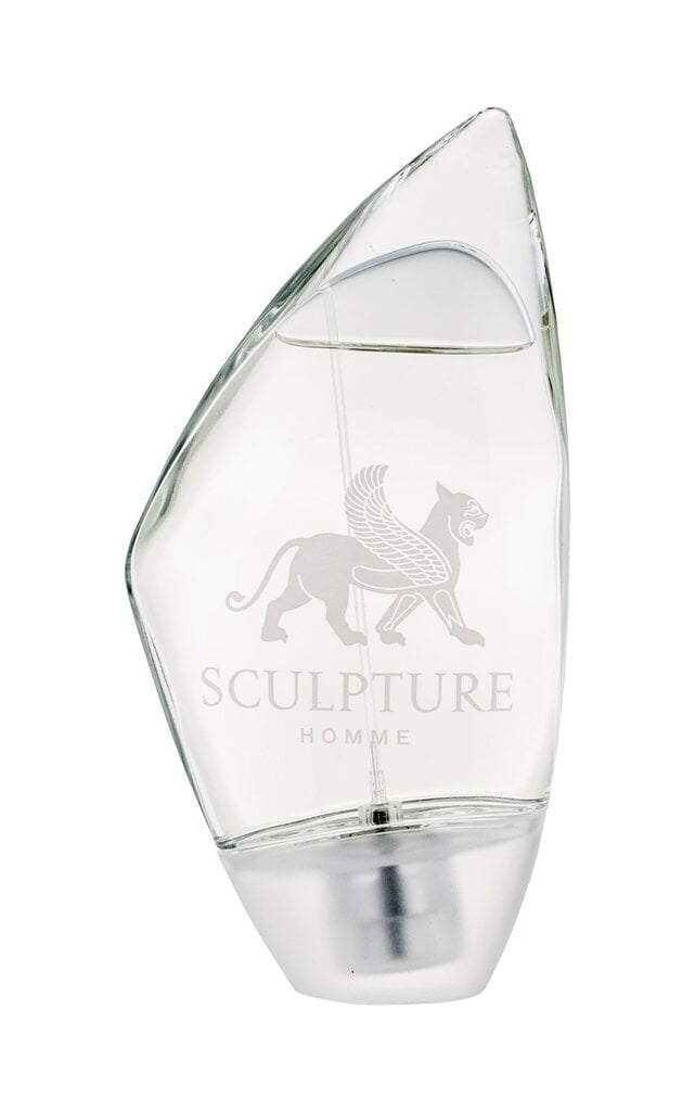 Nikos Sculpture EDT meestele 100 ml hind ja info | Parfüümid meestele | hansapost.ee