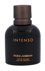 Dolce & Gabbana Pour Homme Intenso EDP meestele 75 ml hind ja info | Parfüümid meestele | hansapost.ee