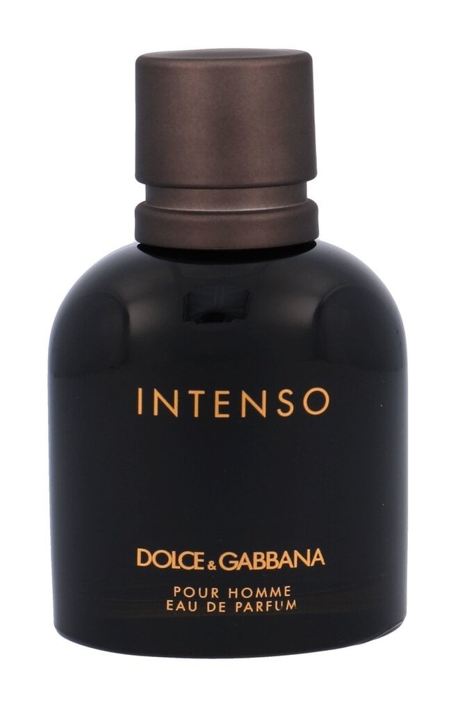 Dolce & Gabbana Pour Homme Intenso EDP meestele 75 ml цена и информация | Parfüümid meestele | hansapost.ee