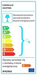 Candellux потолочный светильник Puzzle цена и информация | Потолочные светильники | hansapost.ee