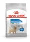 Royal Canin koerad, kes kipuvad kaalus juurde võtma Mini Light Weight Care, 1 kg цена и информация | Koerte kuivtoit ja krõbinad | hansapost.ee