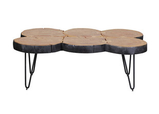 Кофейный столик Bagli, 115x70 см, коричневый/черный цена и информация | Журнальные столики | hansapost.ee
