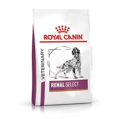 Royal Canin neerupuudulikkusega koertele Renal Select Canine, 2 kg цена и информация | Сухой корм для собак | hansapost.ee