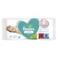 Niisked salvrätikud Pampers Wipes Sensitive 52x12 pakki = 624 salvrätti цена и информация | Niisked salvrätikud lastele | hansapost.ee