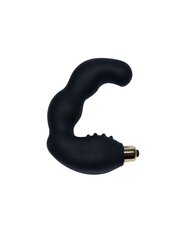 Вибратор BAD-BOY BIG DOUBLE PROSTATE MASSAGER BLACK цена и информация | Вибраторы | hansapost.ee