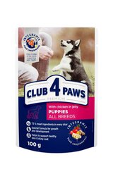 Полнорационные консервы для щенков CLUB 4 PAWS Premium с курицей в желе, 100 г х 20 шт. + 4 шт. Бонус цена и информация | Консервы для собак | hansapost.ee