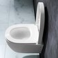 WC-pott REA Carlo Rimless mini aeglaselt sulguva kaanega hind ja info | WС-potid | hansapost.ee