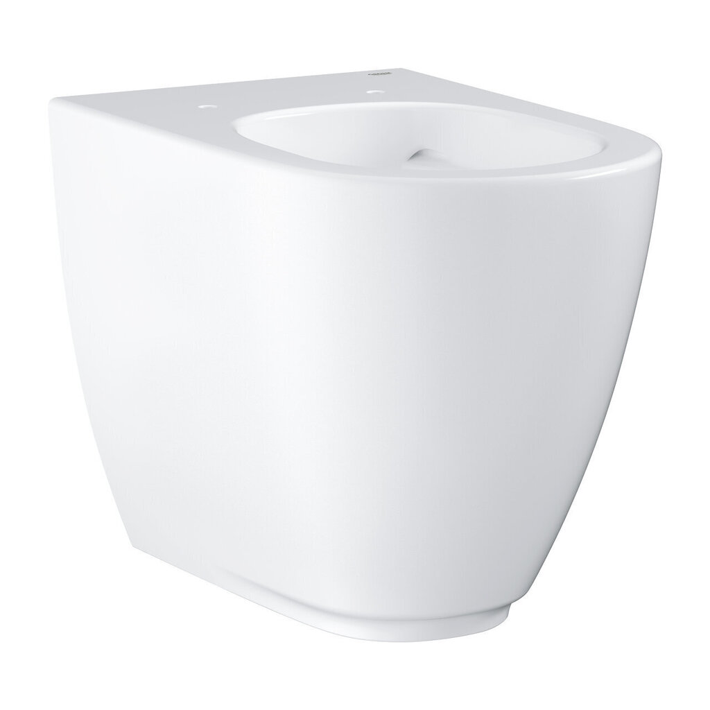 Põrandale paigaldatav WC-pott Grohe Essence Ceramic цена и информация | WС-potid | hansapost.ee