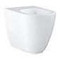 Põrandale paigaldatav WC-pott Grohe Essence Ceramic цена и информация | WС-potid | hansapost.ee