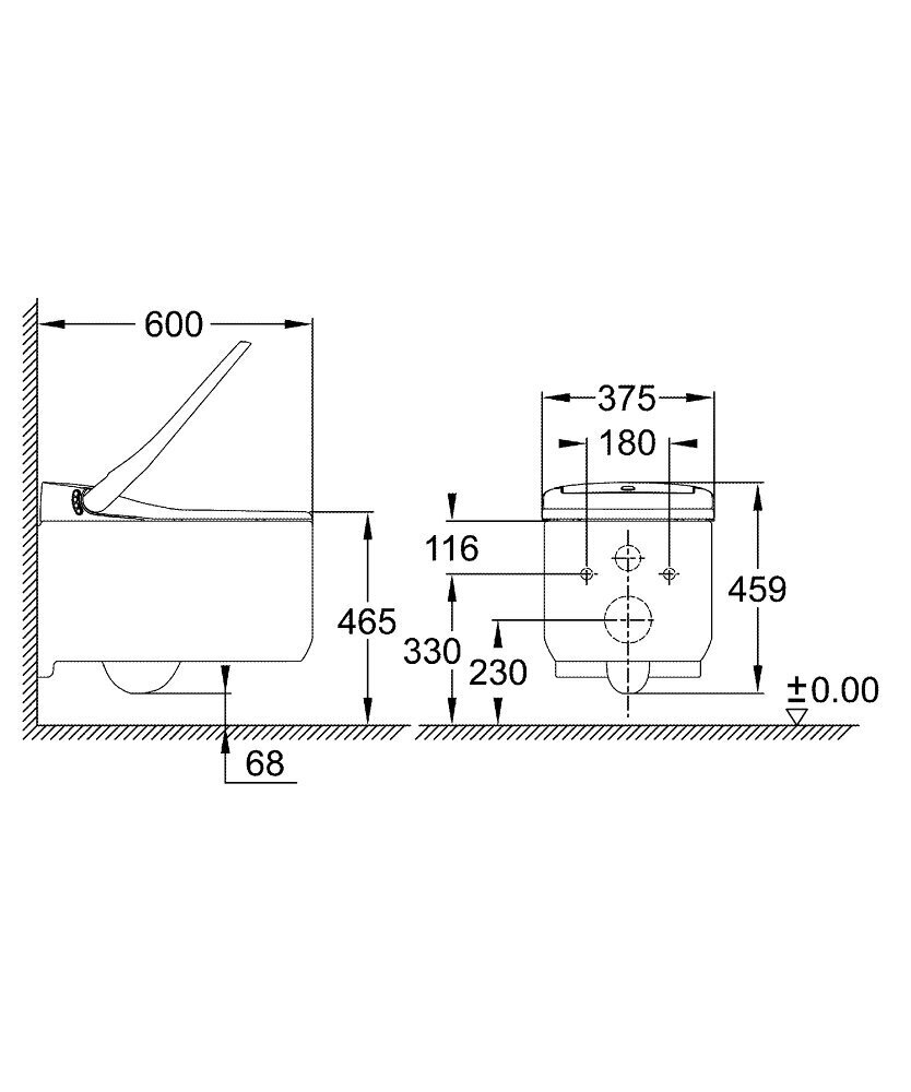 Grohe Sensia Arena unitazas seinale kinnitatav tualettpott, Rimless, 375x600 mm, bidee funktsiooniga, valge, 39354SH1 hind ja info | WС-potid | hansapost.ee