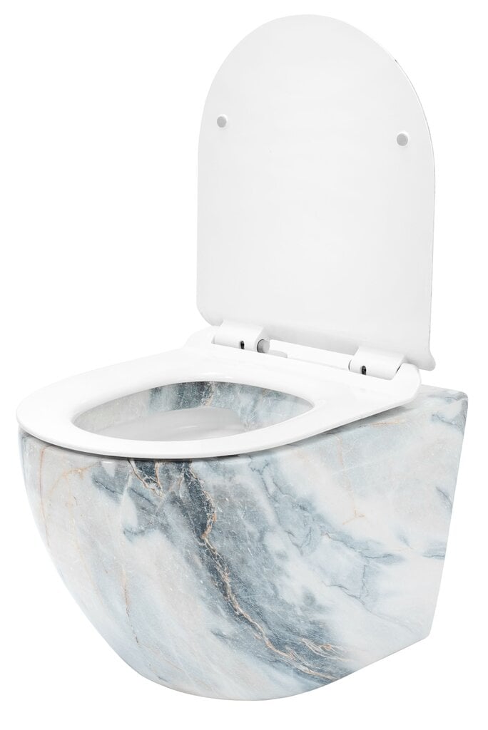 WC-pott REA Carlos Slim Granit Shiny цена и информация | WС-potid | hansapost.ee