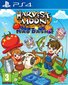 Harvest Moon Mad Dash PS4 цена и информация | Konsooli- ja arvutimängud | hansapost.ee