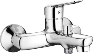 Deante vannitoasegisti koos dušikomplektiga Boro, Chrome цена и информация | Смесители | hansapost.ee