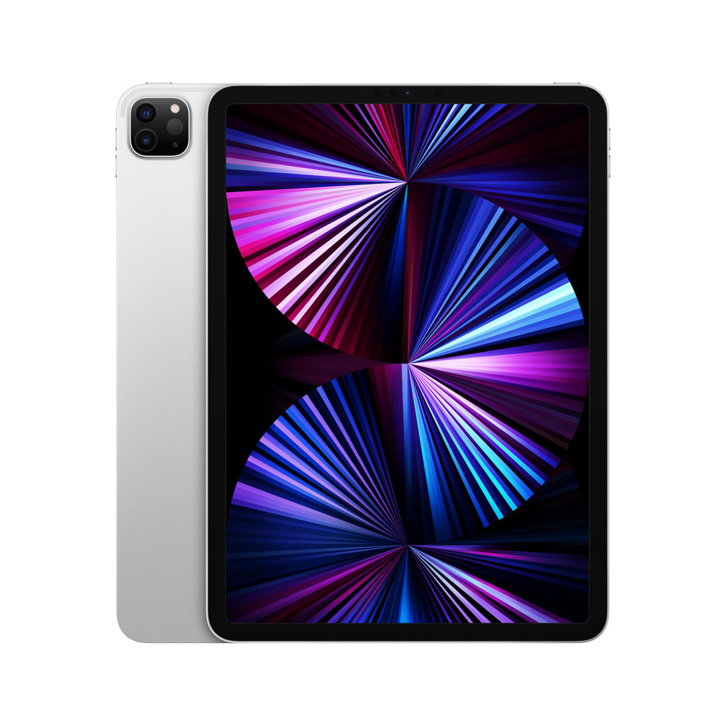 Apple iPad Pro 11" (2021) Wi-Fi 256GB, Hõbe цена и информация | Tahvelarvutid | hansapost.ee