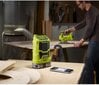 Ryobi 5133002455 цена и информация | Raadiod ja äratuskellad | hansapost.ee