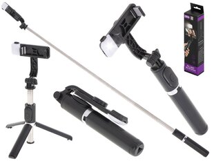 Штатив для селфи с светодиодной лампой RoGer V15 Universal Tripod  цена и информация | Моноподы для селфи («Selfie sticks») | hansapost.ee