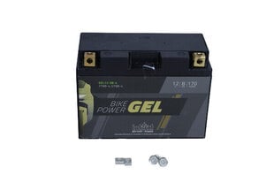 Mootorratta aku intAct Battery-Power GEL YT9B-4 12V 8Ah c20 180A hind ja info | intAct Autokaubad | hansapost.ee