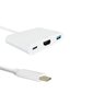 Qoltec 50425 USB Type-C 3.1 pordi adapter HDMI AF + USB 3.0 AF + USB Type-C 3.1 kaabel 20 cm valge hind ja info | Juhtmed ja kaablid | hansapost.ee